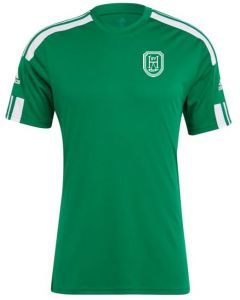Squadra 21 Jersey - grün/weiß